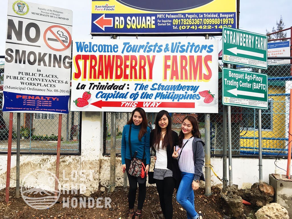 Photo of Welcome Sign in La Trinidad Strawberry Farm