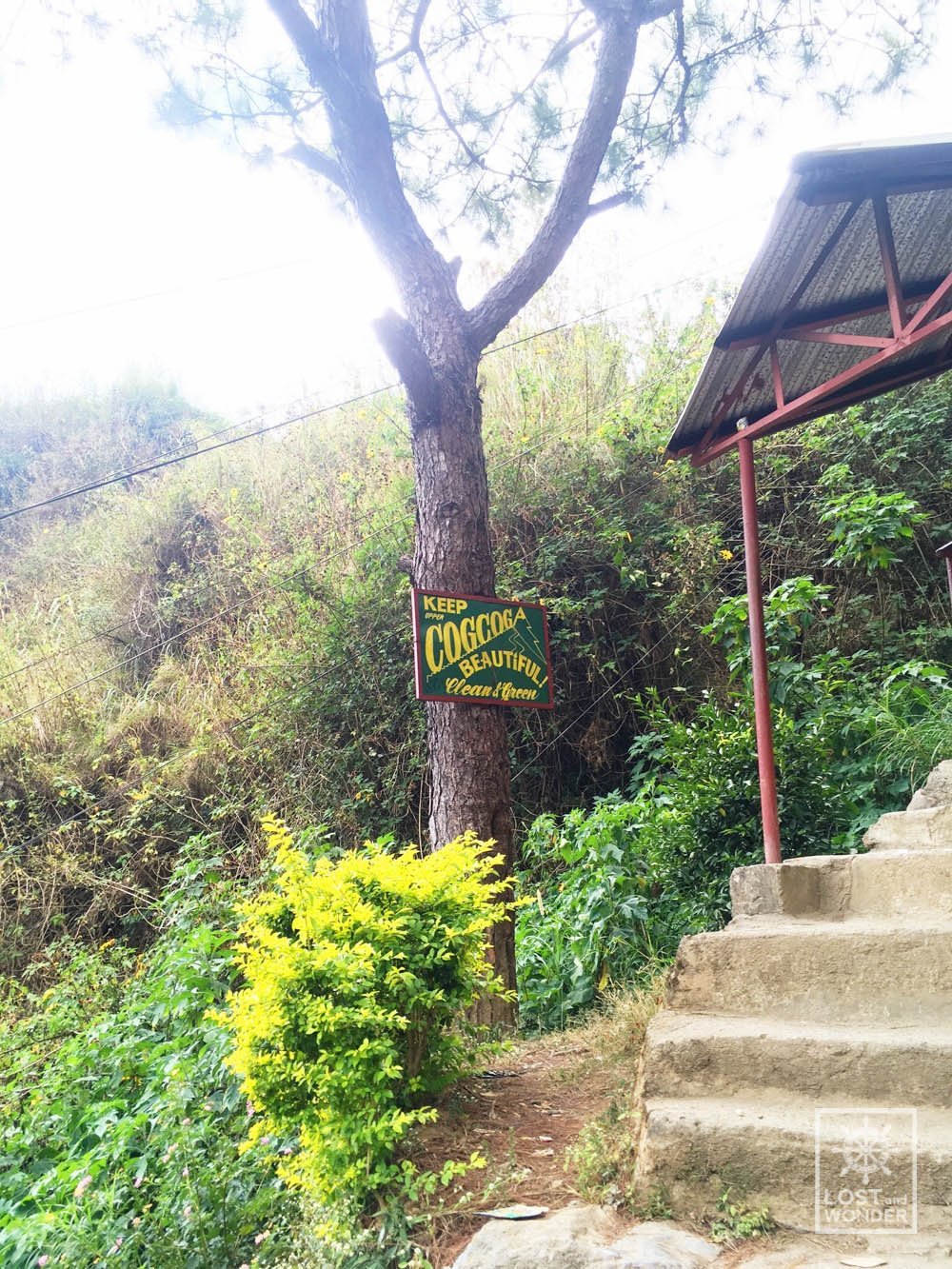 Photo of Sitio Upper Cogcoga in La Trinidad, Benguet