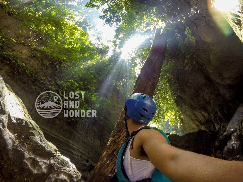 Photo of the forest during canyoneering in Kawasan